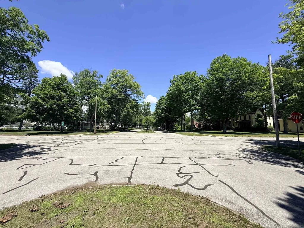 524 N Kinney Mt. Pleasant City MI 48858