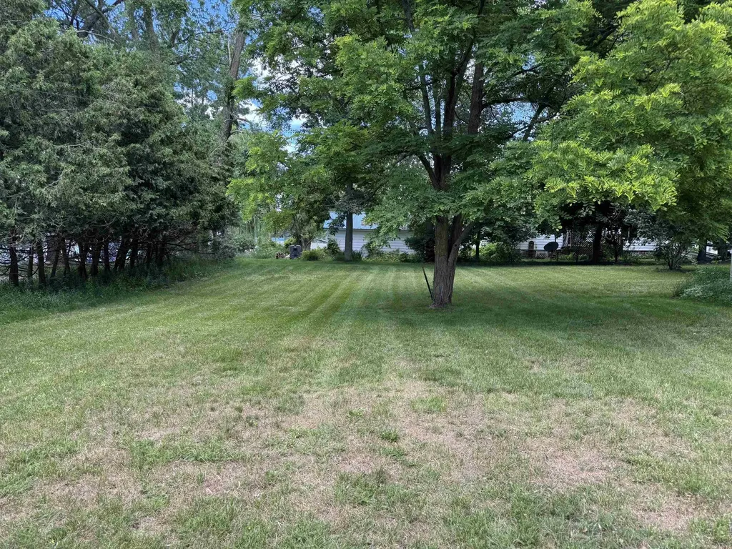 225 N Hayes Street Farwell Village MI 48622