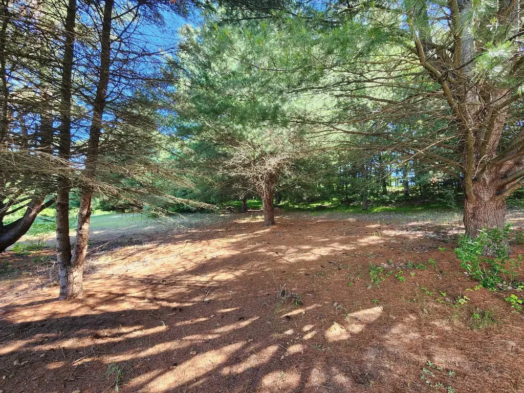 10221 E Church Road Richland Township MI 48891