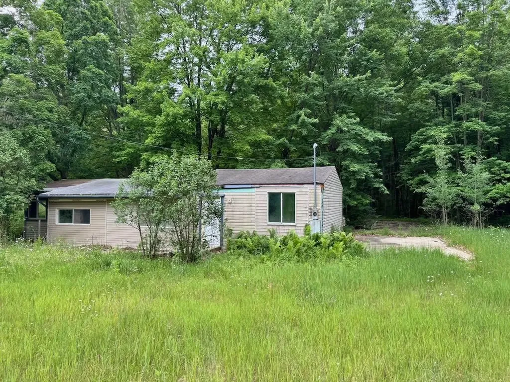 4303 W Adams Road Surrey Township MI 48632