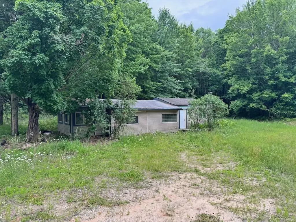 4303 W Adams Road Surrey Township MI 48632
