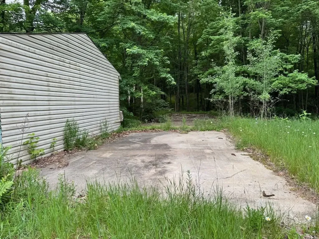 4303 W Adams Road Surrey Township MI 48632