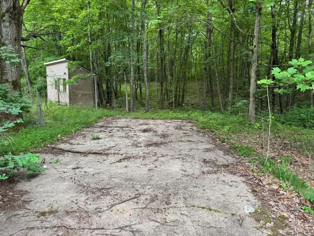 4303 W Adams Road Surrey Township MI 48632