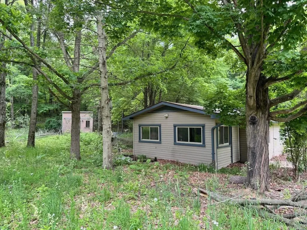 4303 W Adams Road Surrey Township MI 48632