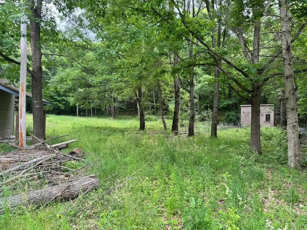 4303 W Adams Road Surrey Township MI 48632