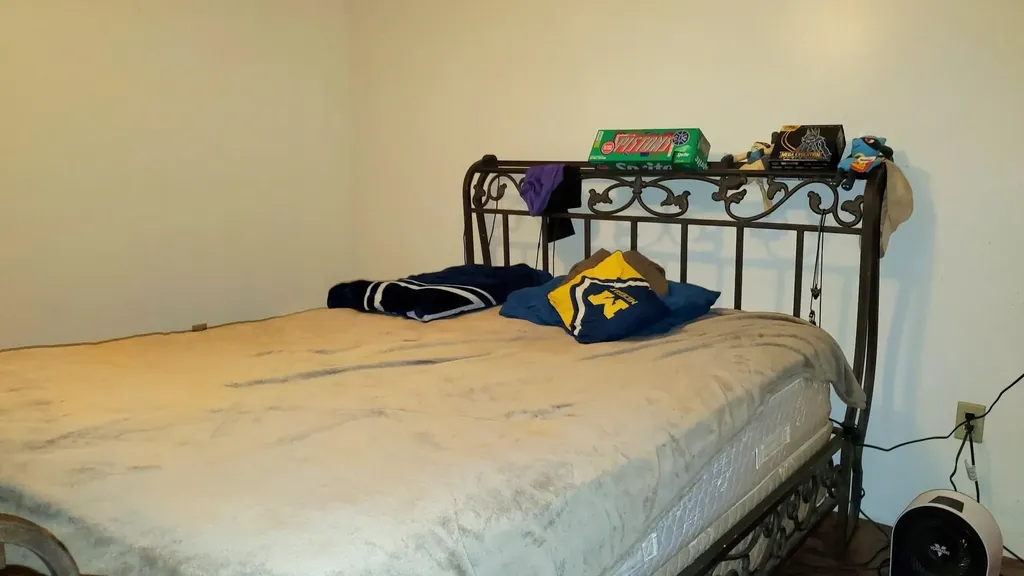 2704 W Deerfield Road Deerfield Township MI 48858