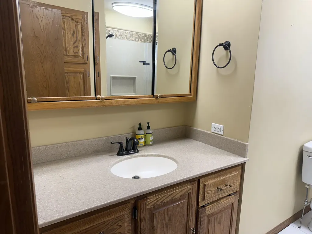 7873 S Rich Road Fulton Township MI 48856