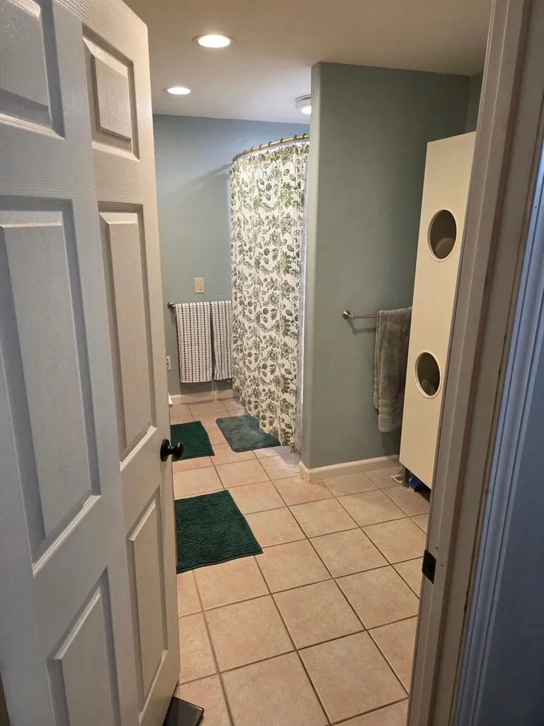 1417 E Weidman Road Isabella Township MI 48878