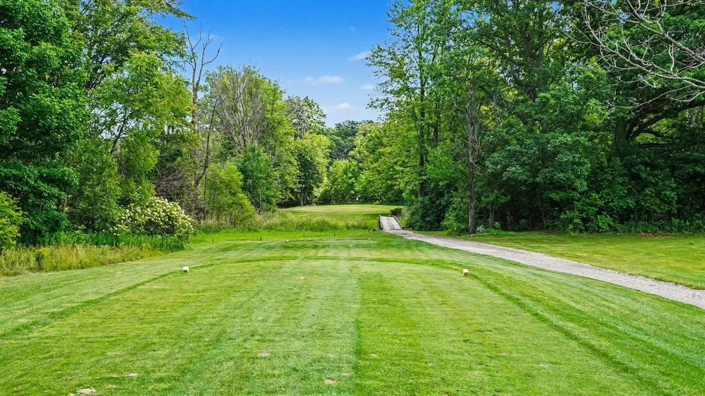 1508 N State Road Emerson Township MI 48847