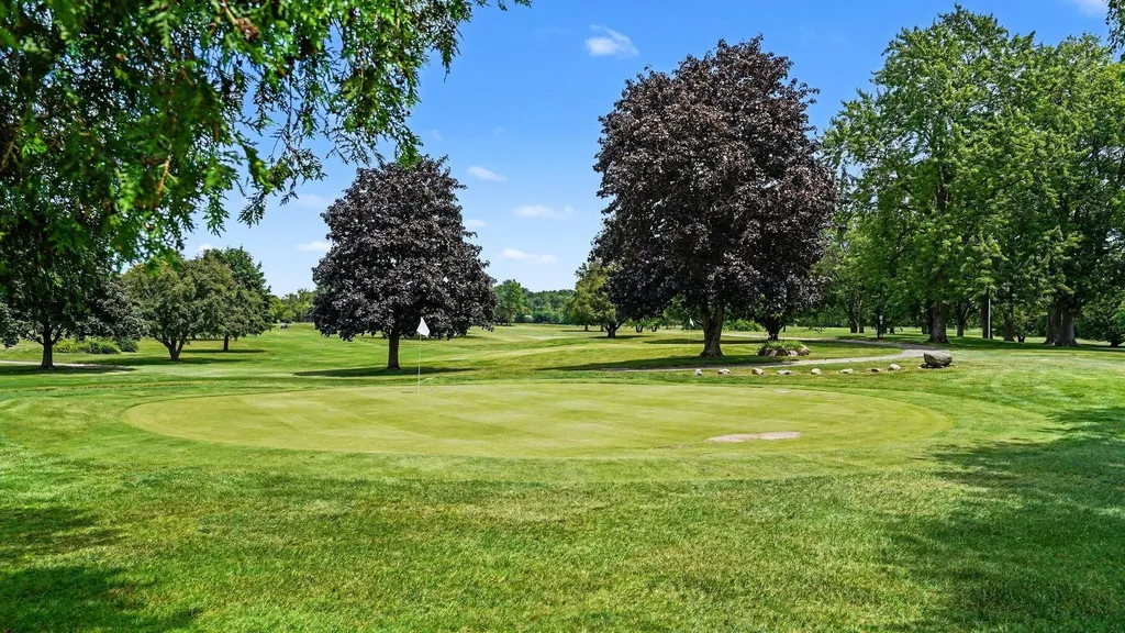 1508 N State Road Emerson Township MI 48847
