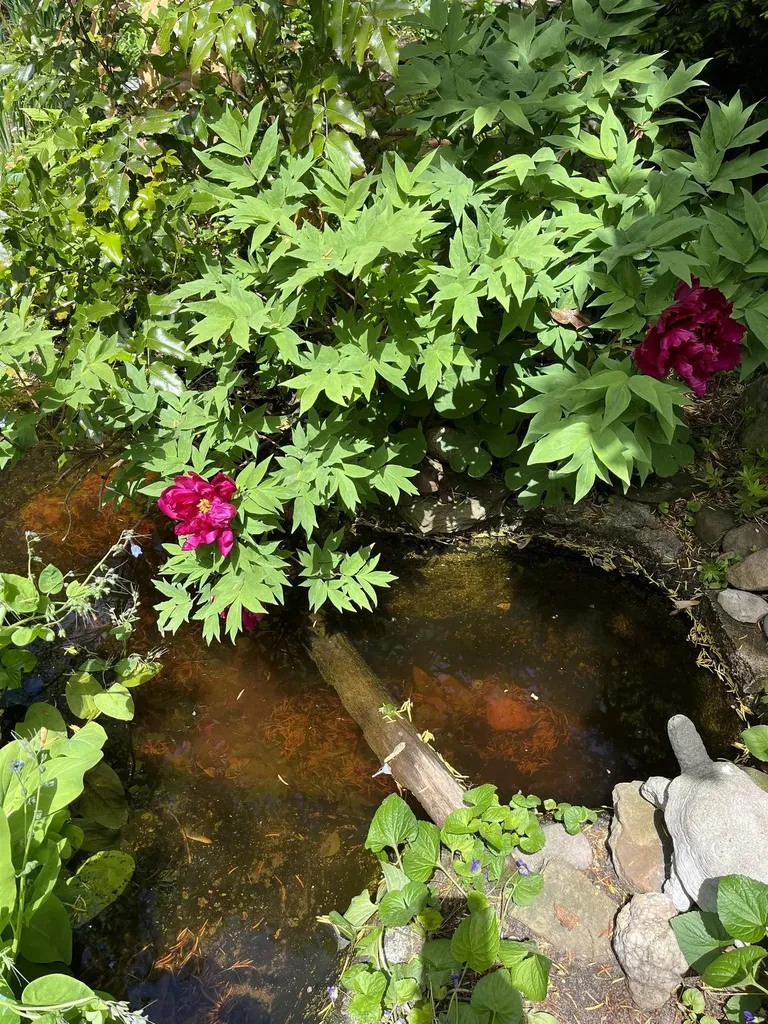 402 N Franklin Street Mt. Pleasant City MI 48858