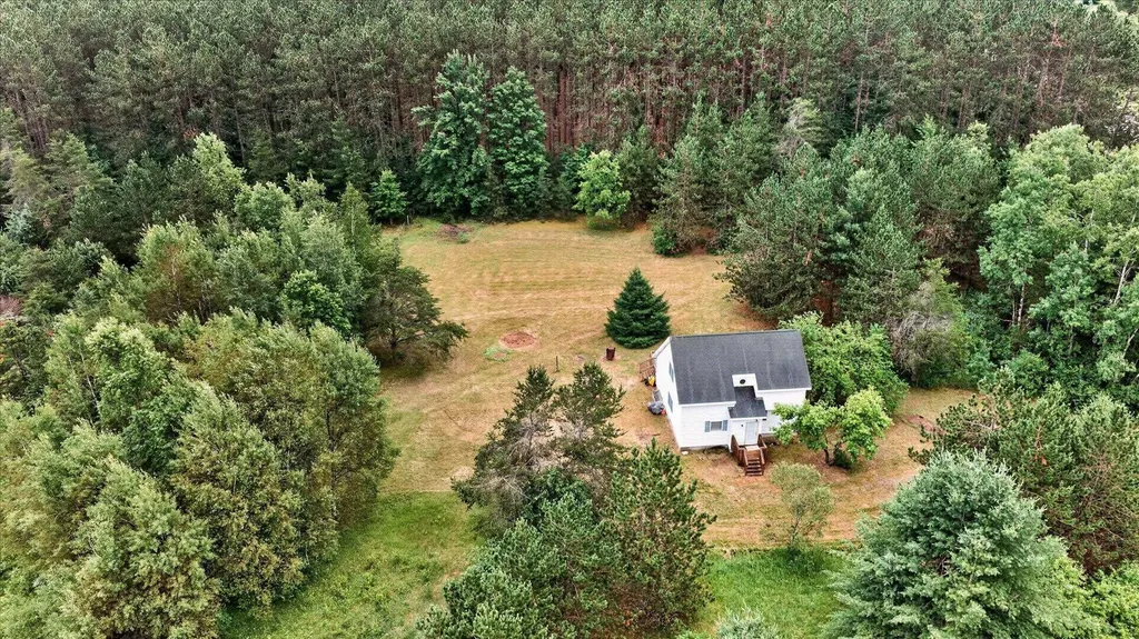 7221 S Military Road Beaver Creek Township MI 49738