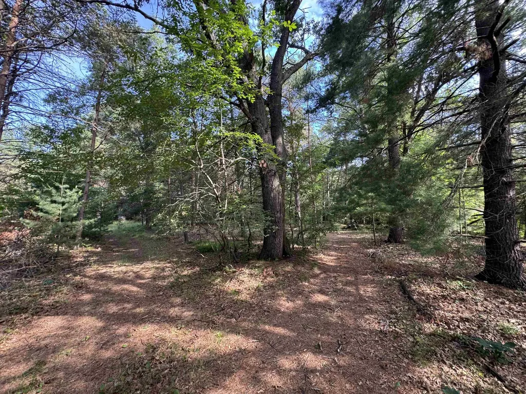2330 Michigan Avenue Mills Township MI 48756