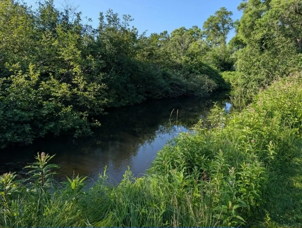 254 N Penn Avenue Mecosta Township MI 49332
