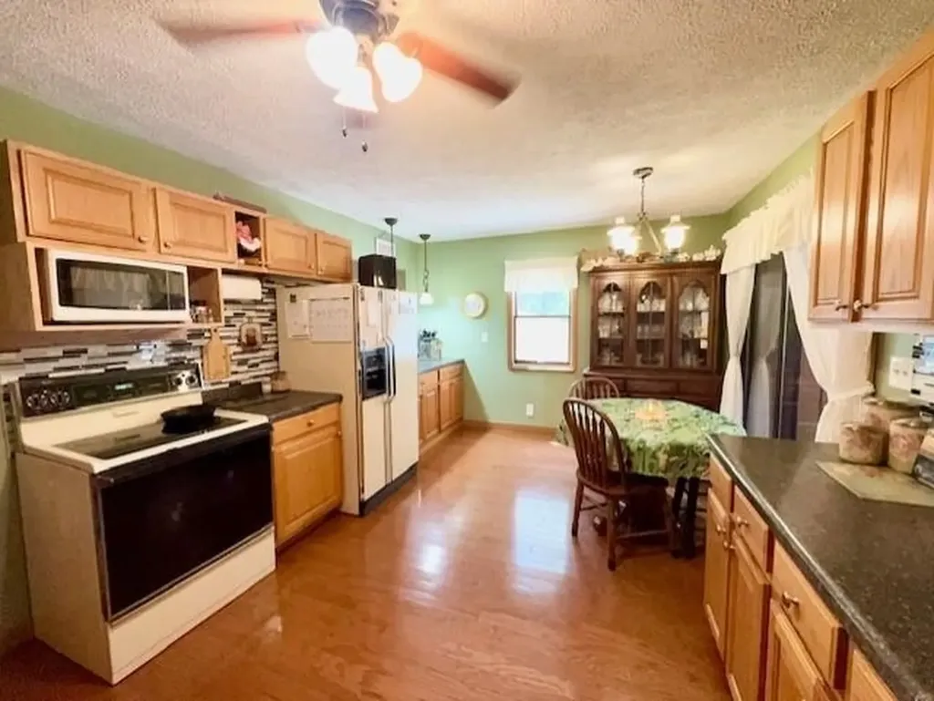 4721 E Sidney Road Evergreen Township MI 48888