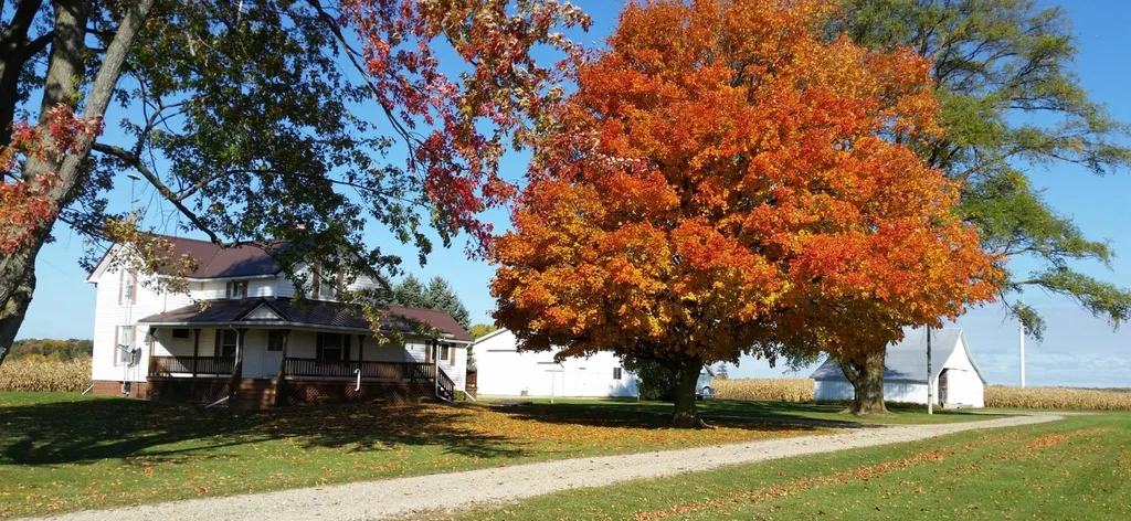 5877 E Adams Road Bethany Township MI 48615