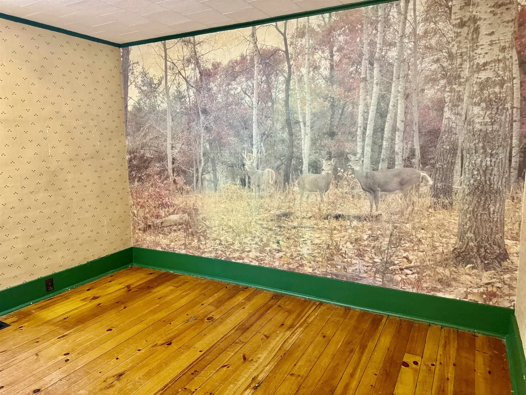 5877 E Adams Road Bethany Township MI 48615