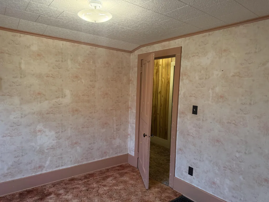 5877 E Adams Road Bethany Township MI 48615