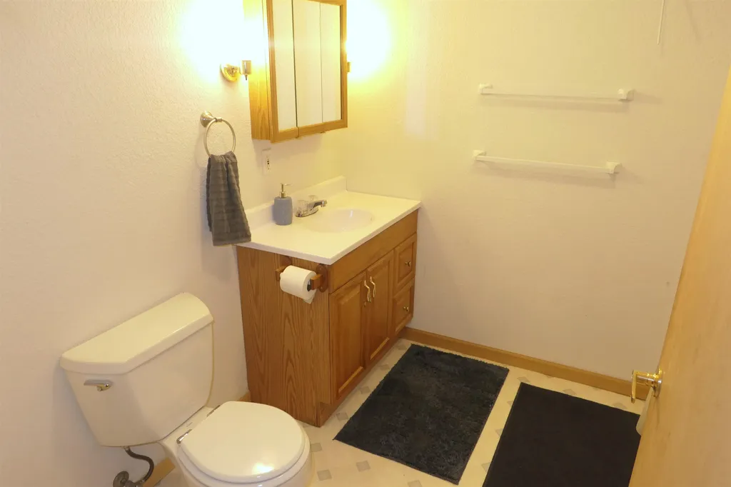 4769 Feather Trail Home Township MI 48829