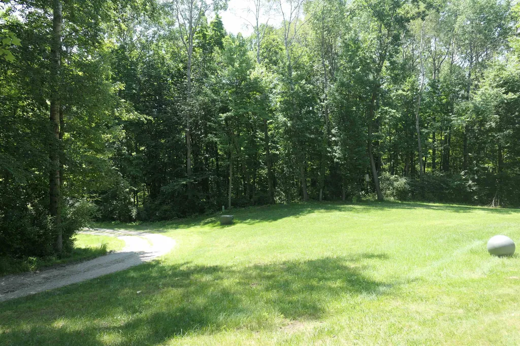 4769 Feather Trail Home Township MI 48829