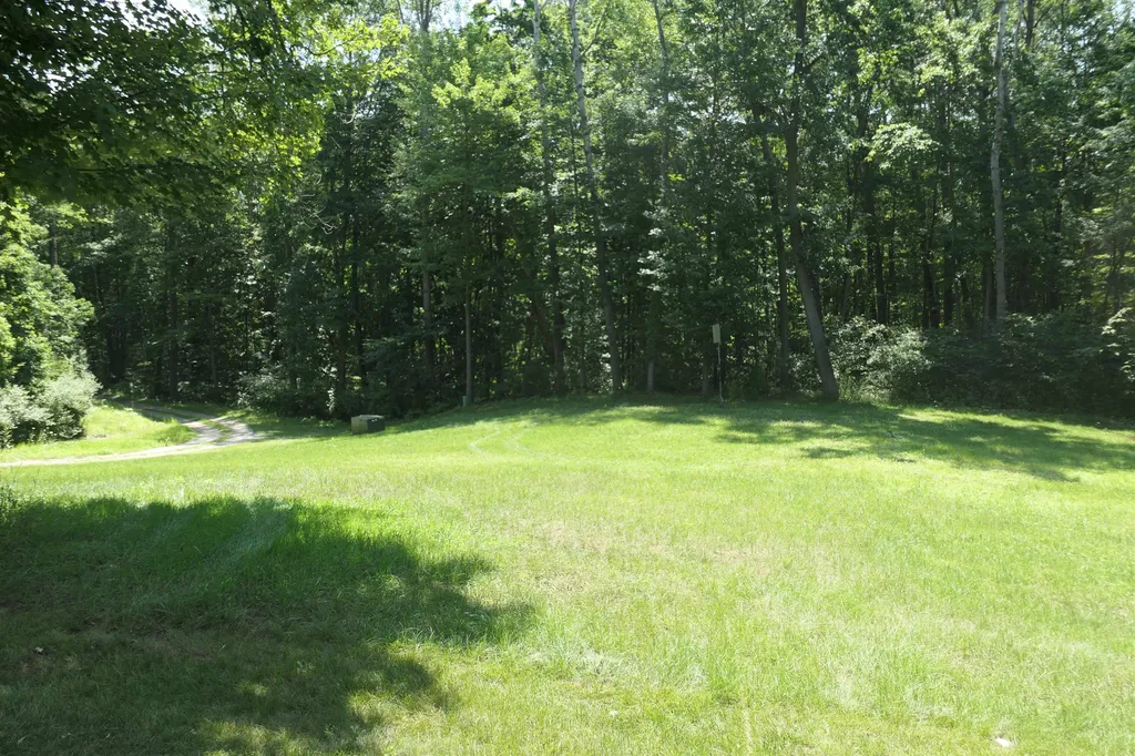 4769 Feather Trail Home Township MI 48829