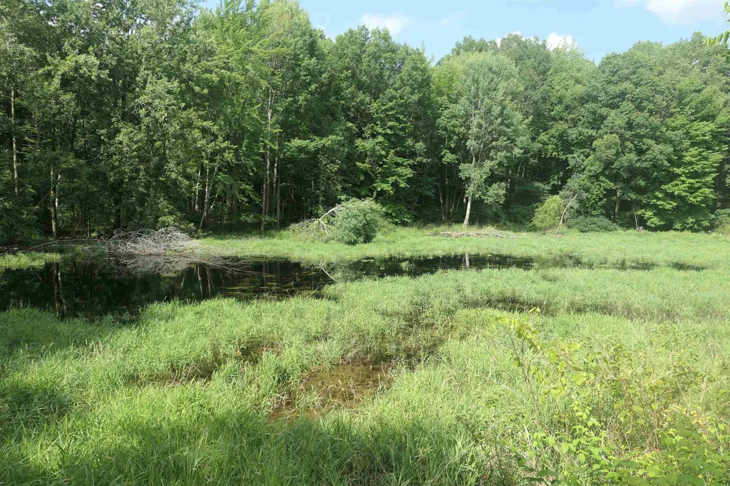 4769 Feather Trail Home Township MI 48829