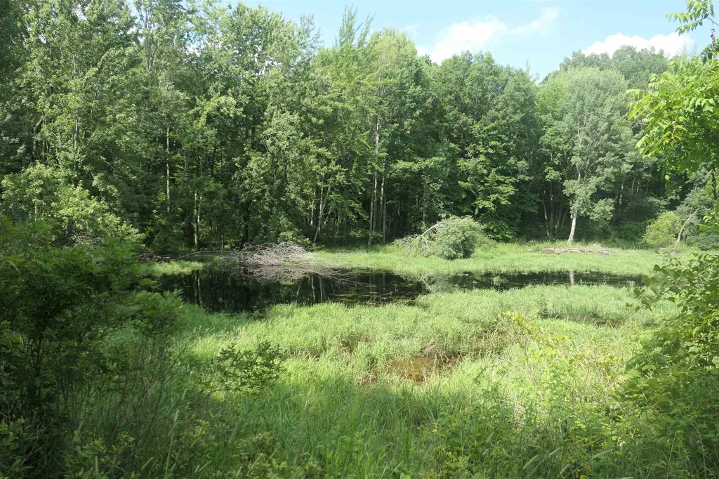 4769 Feather Trail Home Township MI 48829