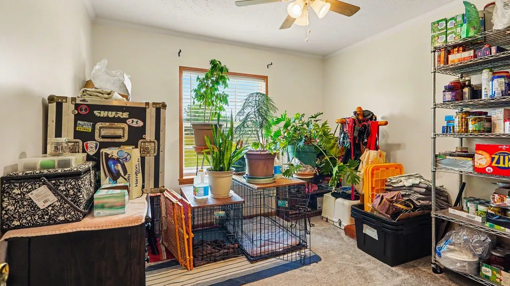 8051 Chippewa Trail Chippewa Township MI 48858