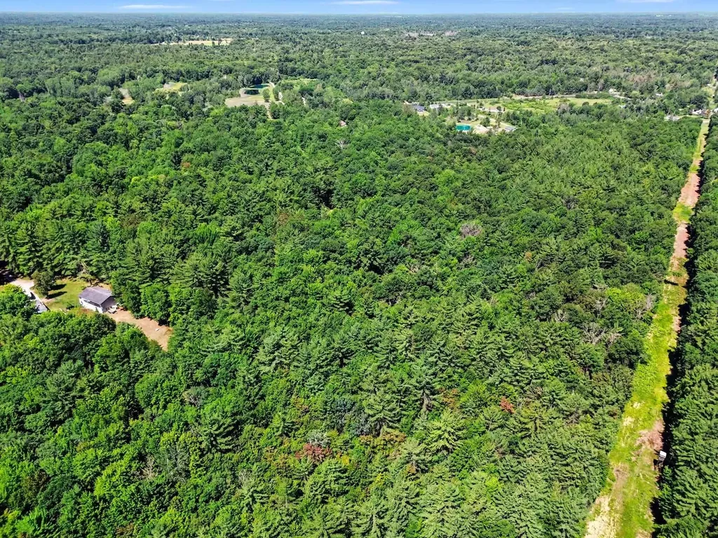 1310 W New Pine Trail Jerome Township MI 48657