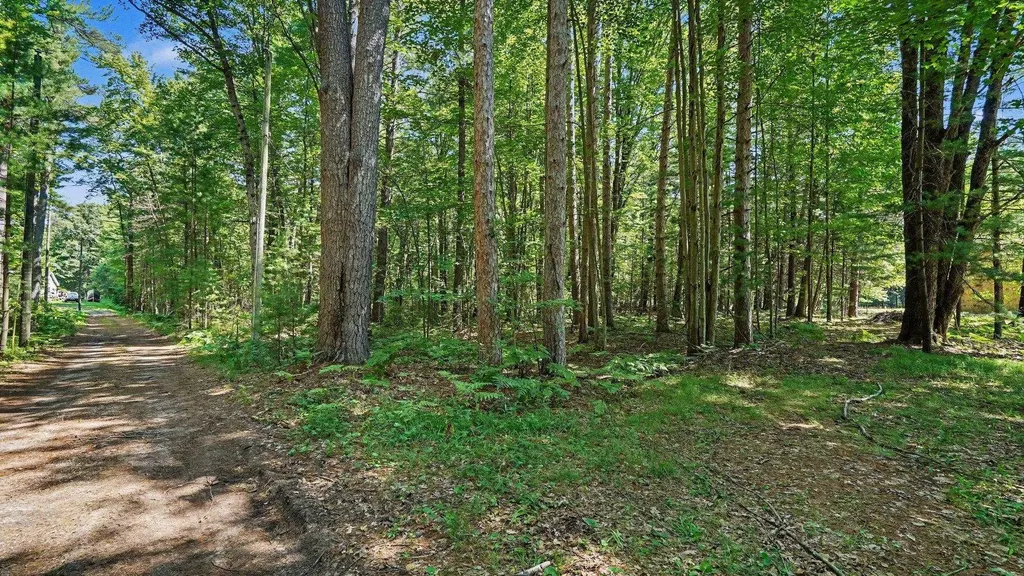 1310 W New Pine Trail Jerome Township MI 48657