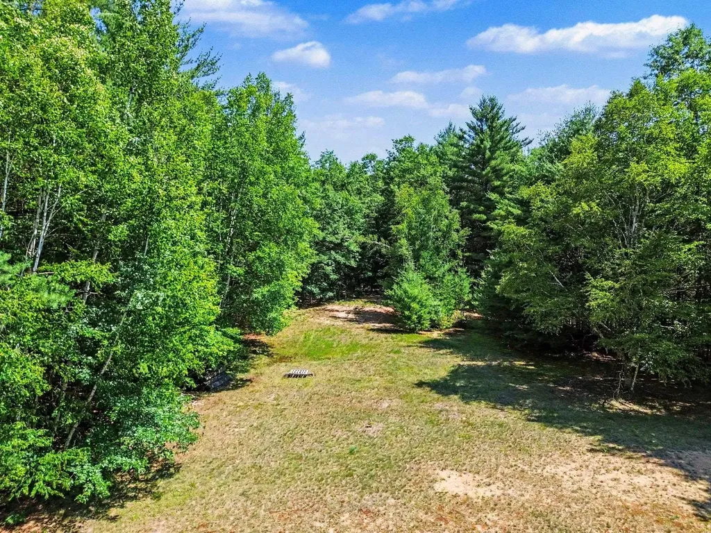 1310 W New Pine Trail Jerome Township MI 48657