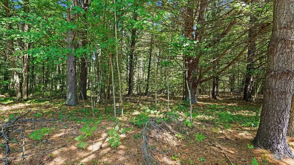 1310 W New Pine Trail Jerome Township MI 48657