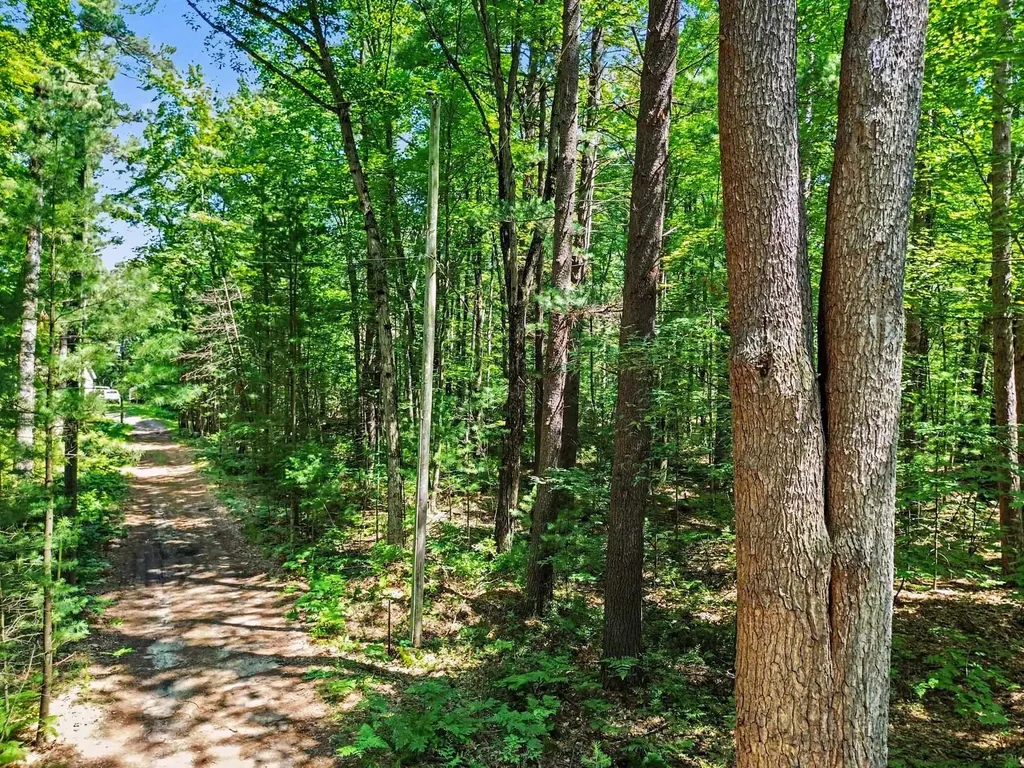 1310 W New Pine Trail Jerome Township MI 48657