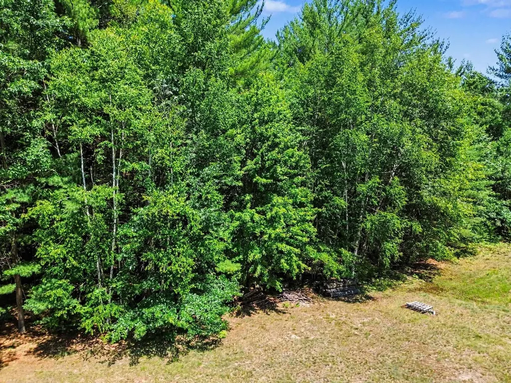 1310 W New Pine Trail Jerome Township MI 48657