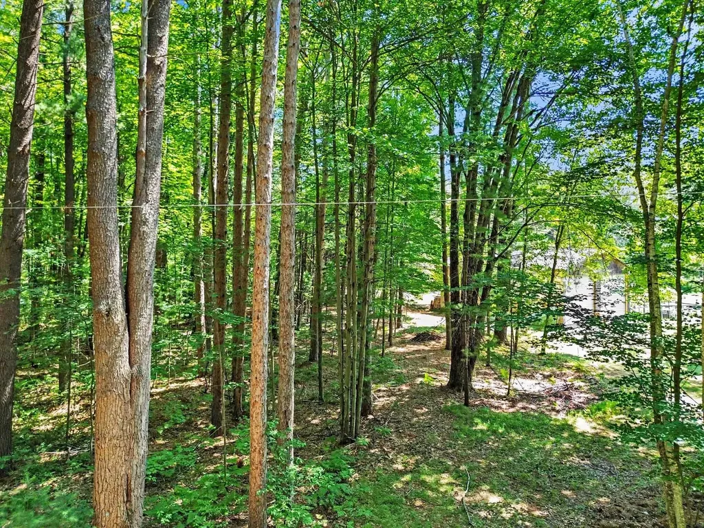 1310 W New Pine Trail Jerome Township MI 48657