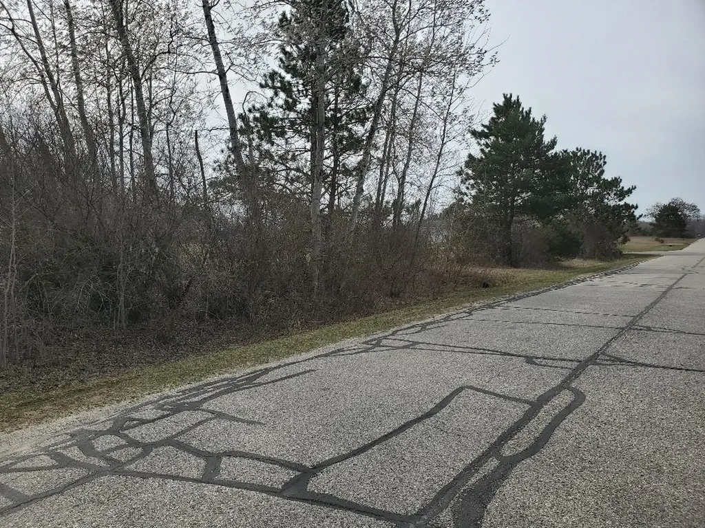1034 Pyrenees Drive Lake Isabella Village MI 48893