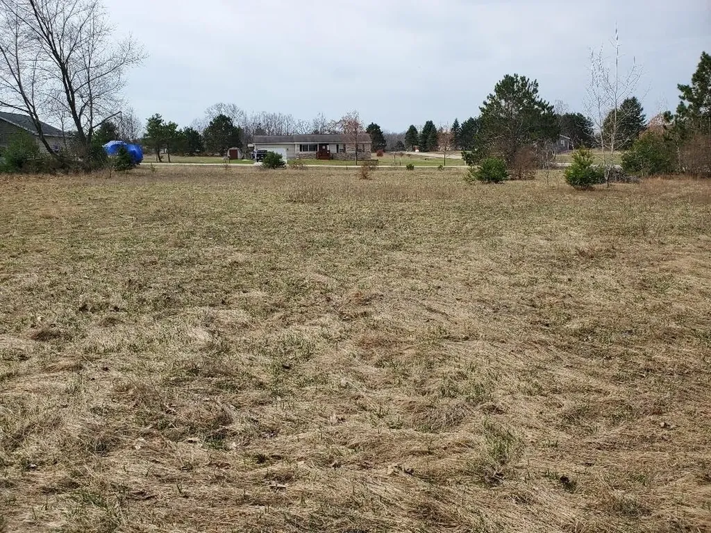 1034 Pyrenees Drive Lake Isabella Village MI 48893