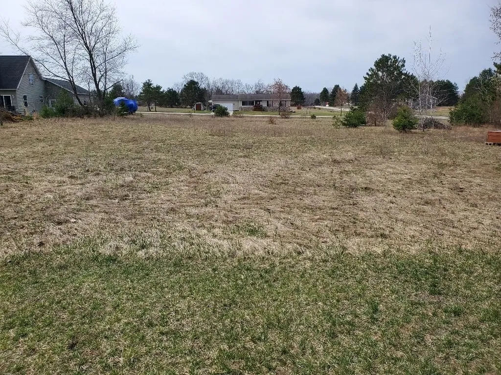 1034 Pyrenees Drive Lake Isabella Village MI 48893