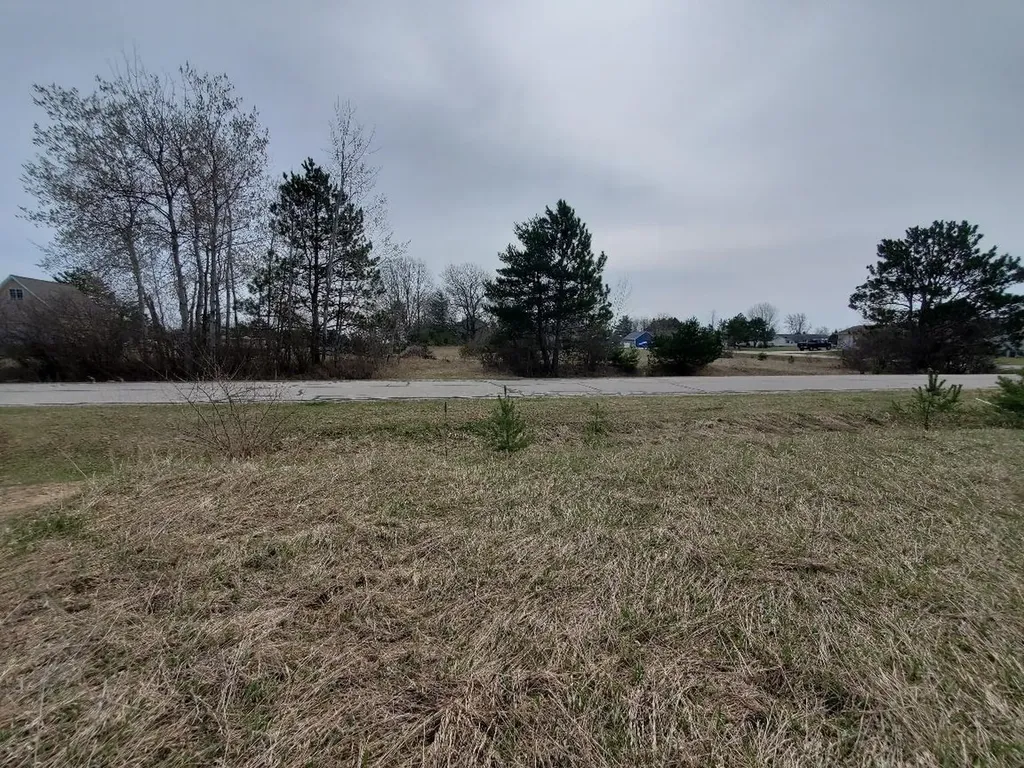 1034 Pyrenees Drive Lake Isabella Village MI 48893