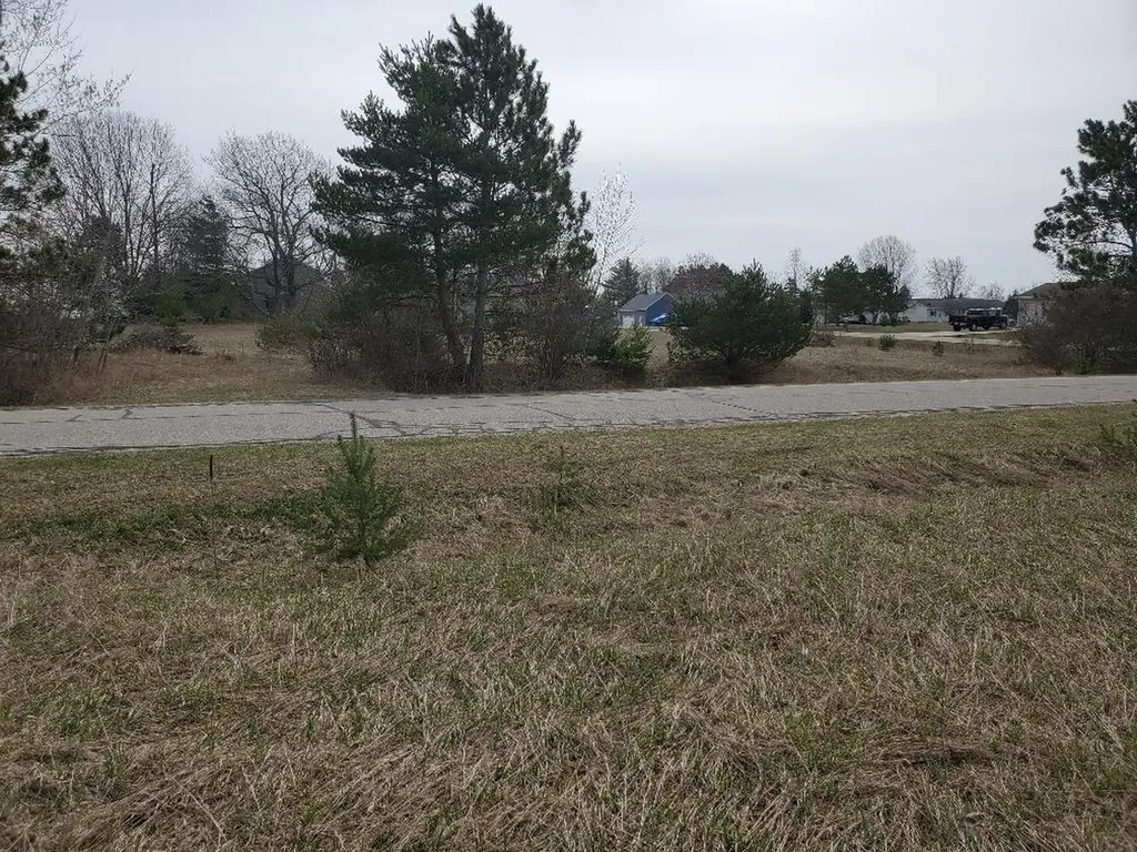 1034 Pyrenees Drive Lake Isabella Village MI 48893