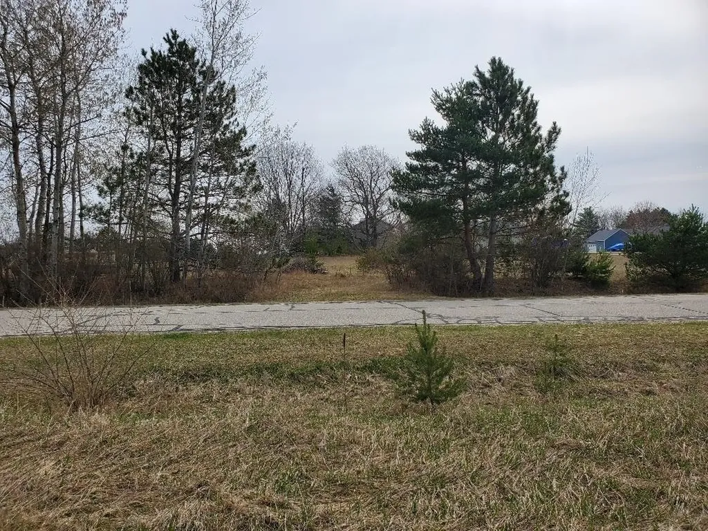 1034 Pyrenees Drive Lake Isabella Village MI 48893