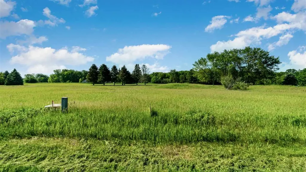 1017 Birdie Drive Broomfield Township MI 48893