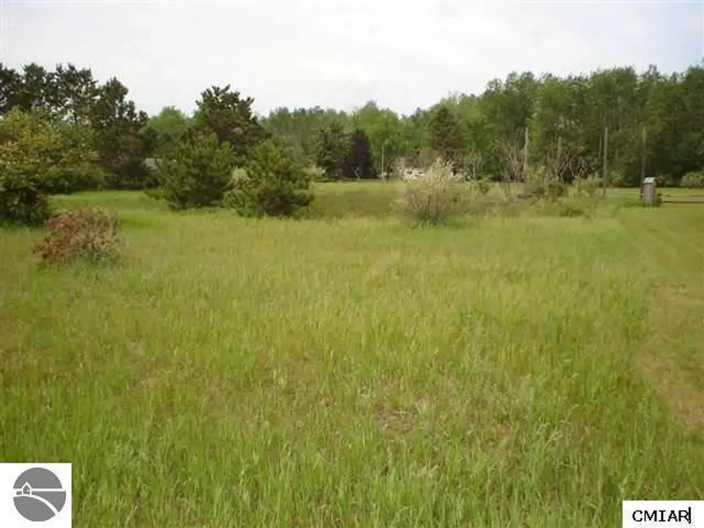 1049 Duquesa Lane Lake Isabella Village MI 48893