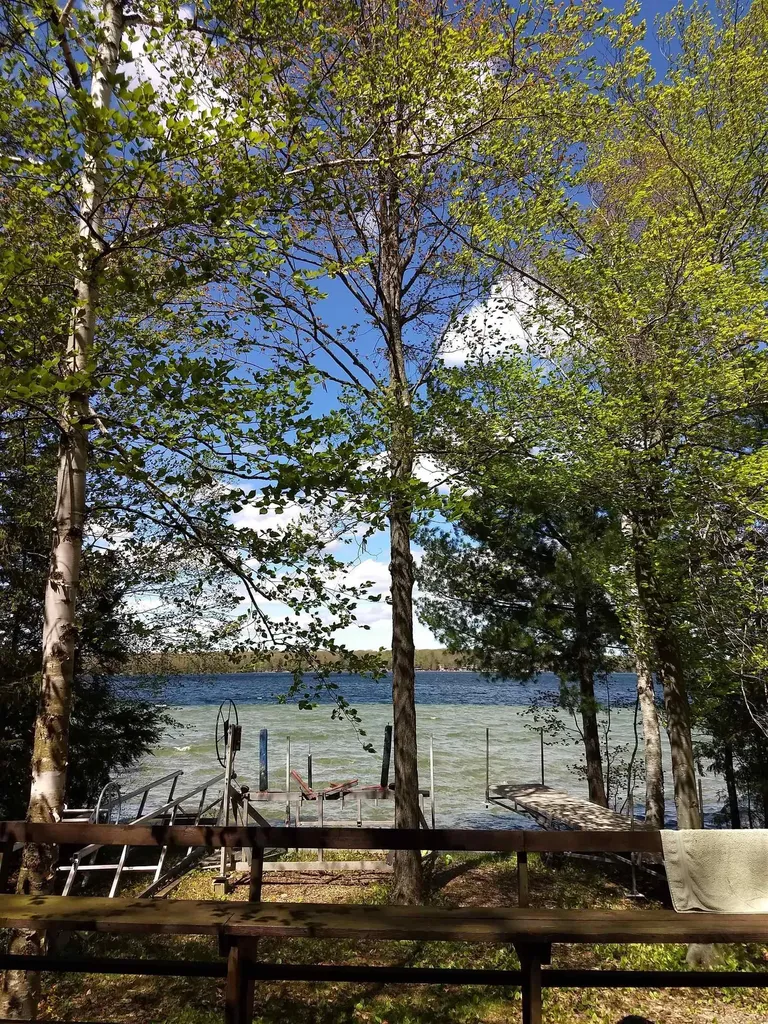 1335 W Outer Drive Long Lake Township MI 49685