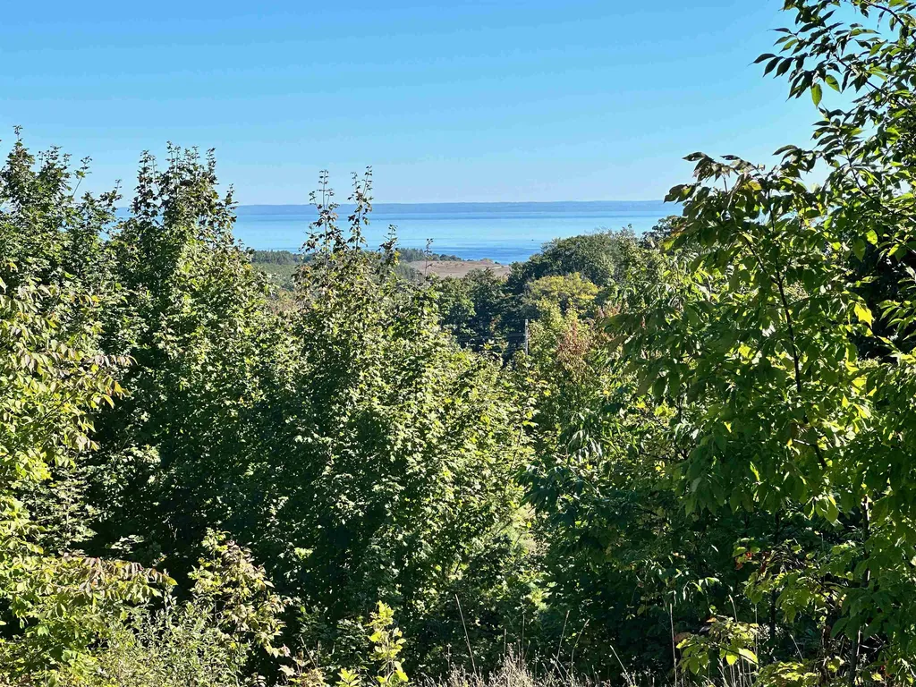 9224 E Duck Lake Road Suttons Bay Township MI 49682