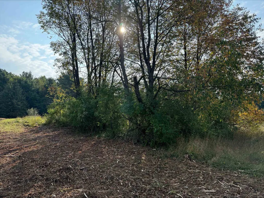 S Maple City Road Kasson Township MI 49664