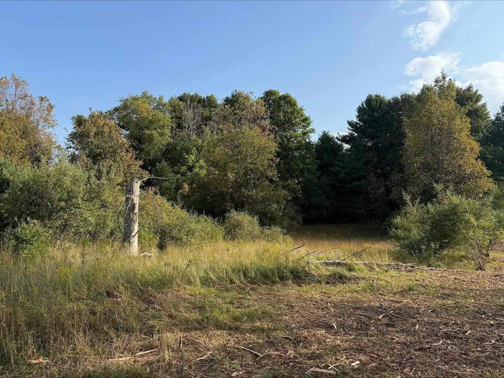 S Maple City Road Kasson Township MI 49664