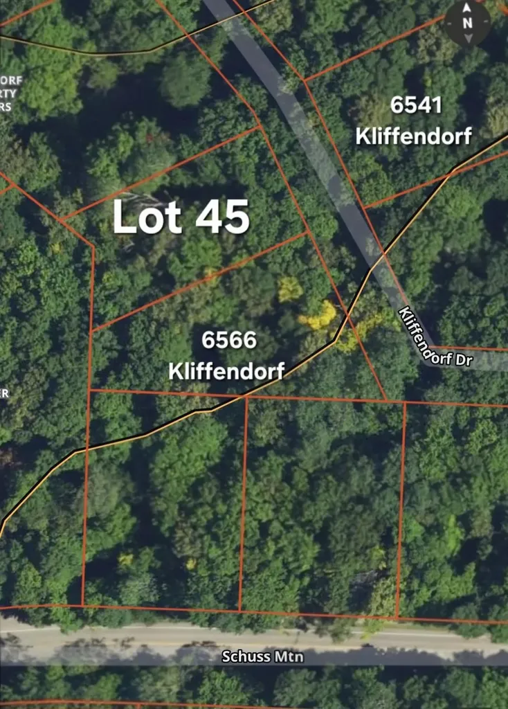 45 Kliffendorf Drive Custer Township MI 49615