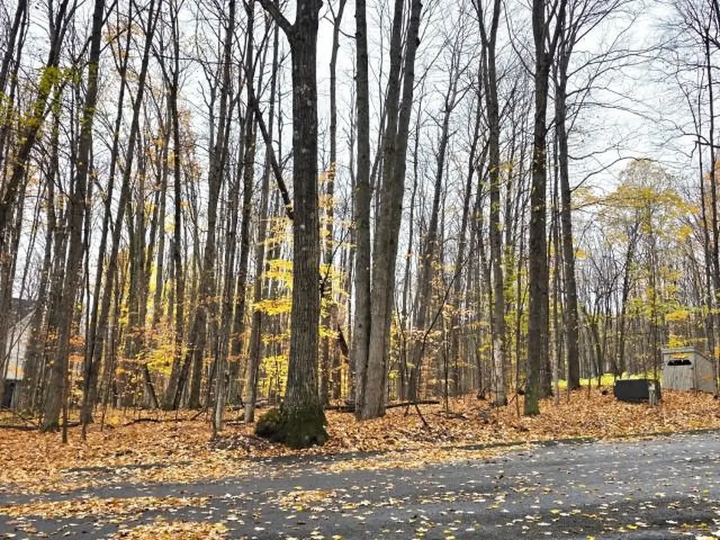 45 Kliffendorf Drive Custer Township MI 49615