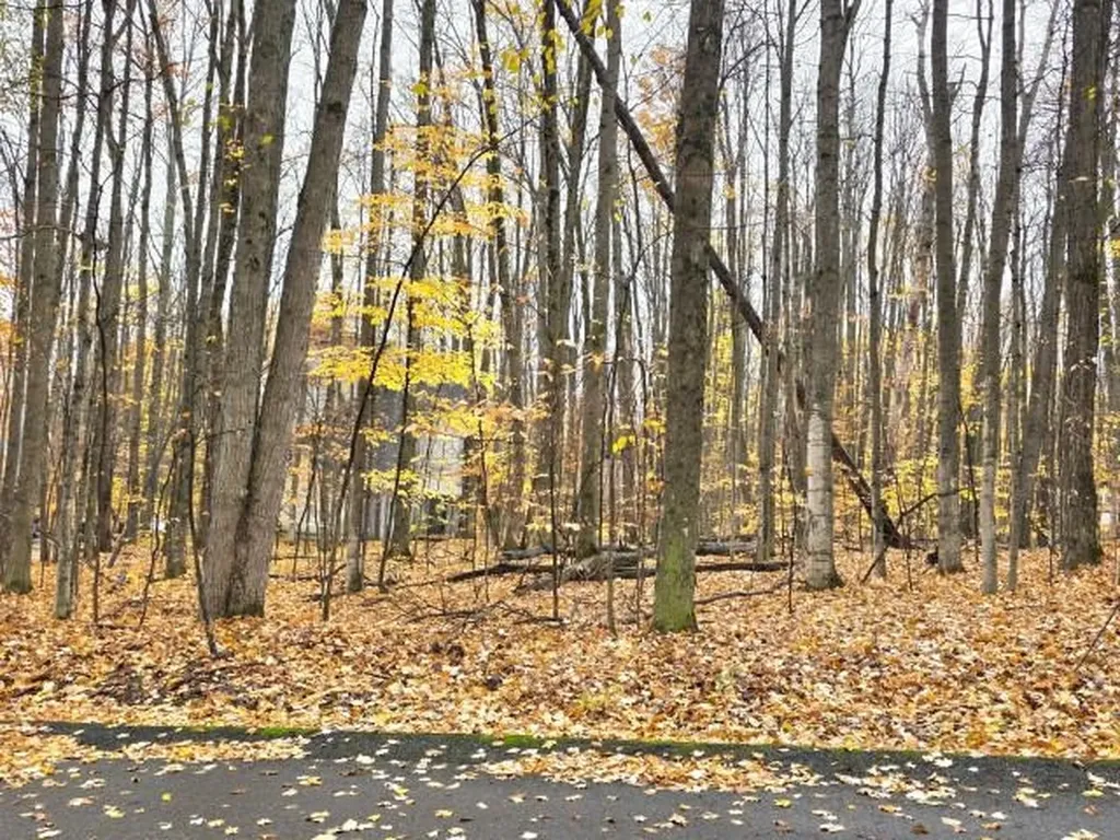 45 Kliffendorf Drive Custer Township MI 49615